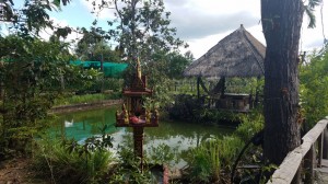 Restaurant garden