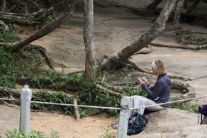 Marion sketches the trees