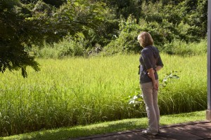 Marion checks out the rice paddy