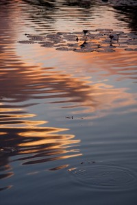 Angkor Wat sunrise reflection