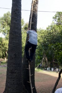 Bros climbs the "ladder"