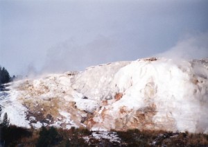 Mammoth Hot Springs