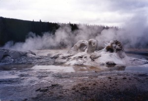 Elaborate geyser