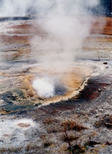 Bubbling pool