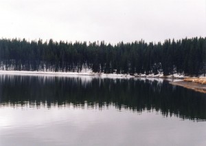 Lake Yellowstone