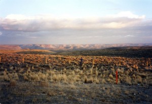 Bart photographs Flaming Gorge