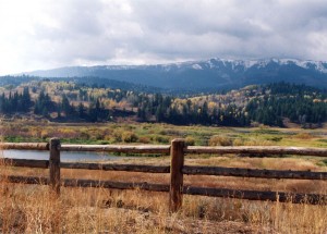 Fence, aspen and mountains