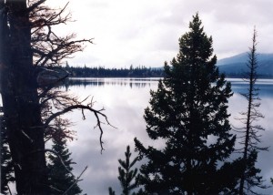 Lake near Jackson Hole