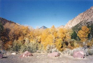 Flaming Gorge