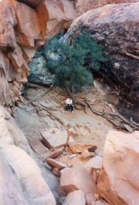 Bart at Arches National Park