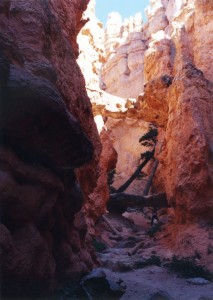 Bryce Canyon