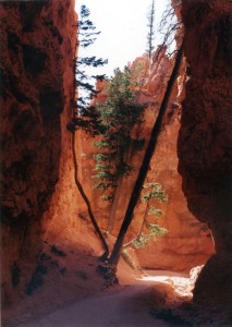 Bryce Canyon