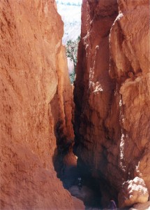 Bart in the canyon