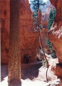 Bryce Canyon