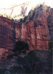 Zion cliff wall