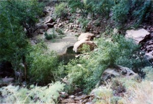 Zion National Park