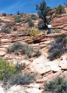 Les finds a rock