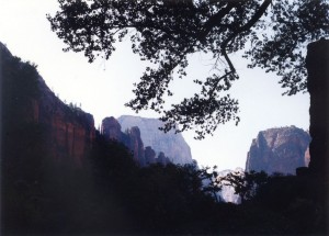 Zion National Park