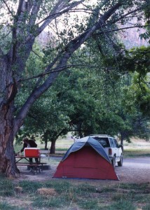 Zion campground