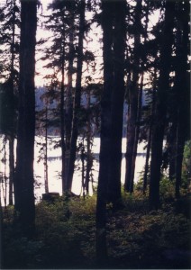 Lake Takhlakh through the trees