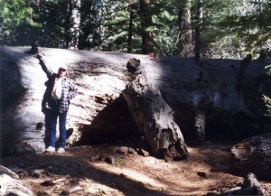 Les next to a tree