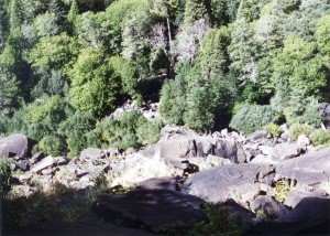 View from the falls