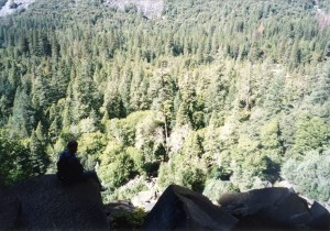 View from the falls