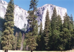 Yosemite Valley