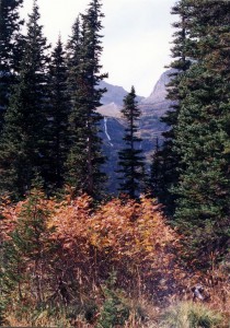 View from the hike