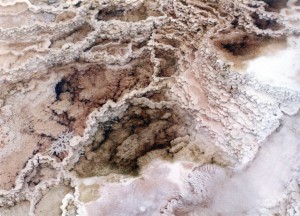 Mammoth Hot Springs