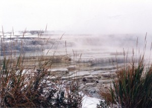 Mammoth Hot Springs