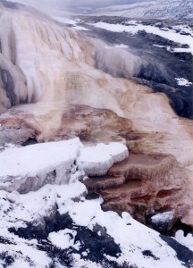 Mammoth Hot Springs