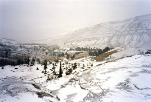 The view from on top of Mammoth Hot Springs