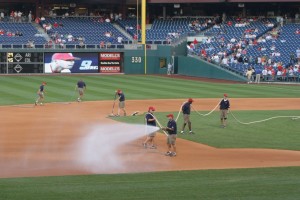 Preparing the field