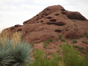 Botanical Gardens (DBK)