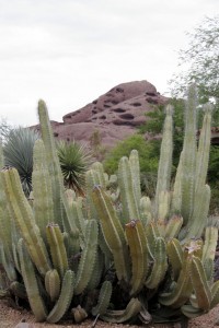 Botanical Gardens