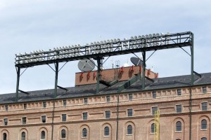 Orioles Park