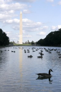 Reflecting Pool, Washington Monument