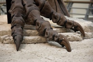 T-Rex foot