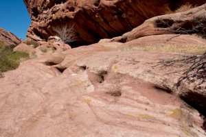 Red Rocks Park