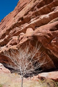 Red Rocks Park