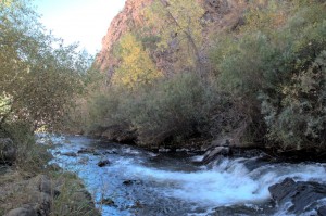 Mountain stream