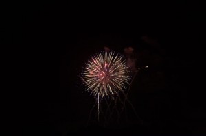 Fireworks over Disneyland