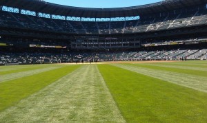 View from center field