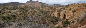 Along the Apache Trail