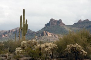 Superstition mountains