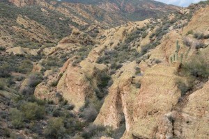 Along the Apache Trail