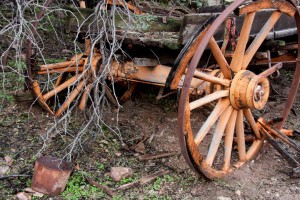 Wagon remains