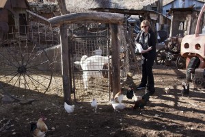 Feeding the goats and chickens