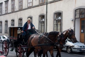 Carriage ride